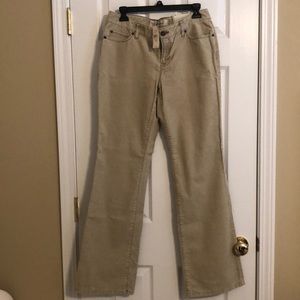LOFT curvy boot cut corduroy pants - new with tags